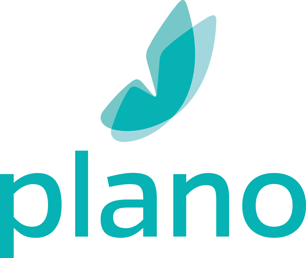 Logo: plano solutions gmbh